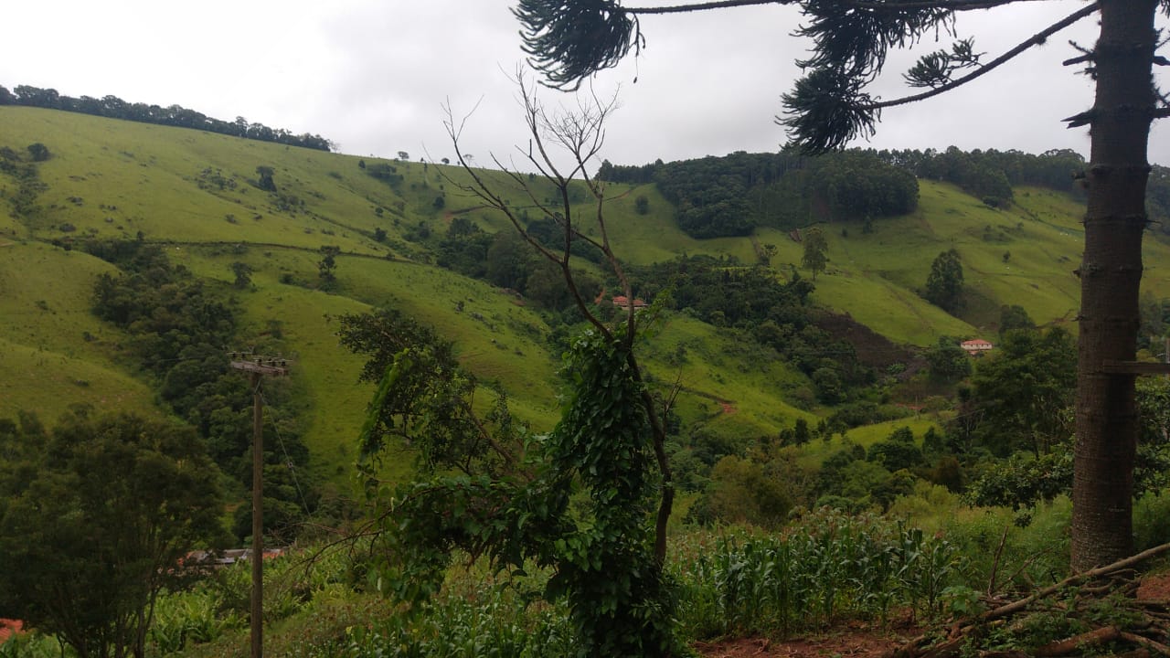 Fazenda riquíssima em água, terreno para plantio ou pecuária | Toledo MG | código 800