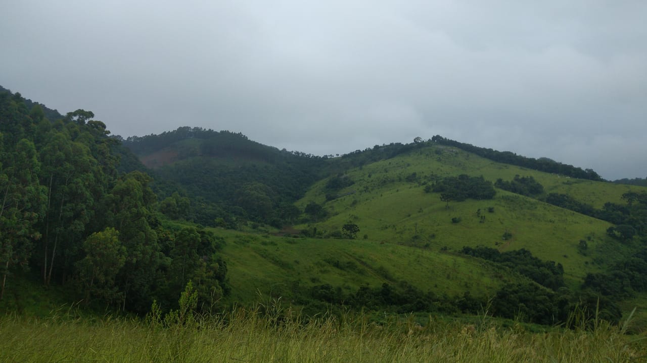 Fazenda riquíssima em água, terreno para plantio ou pecuária | Toledo MG | código 800