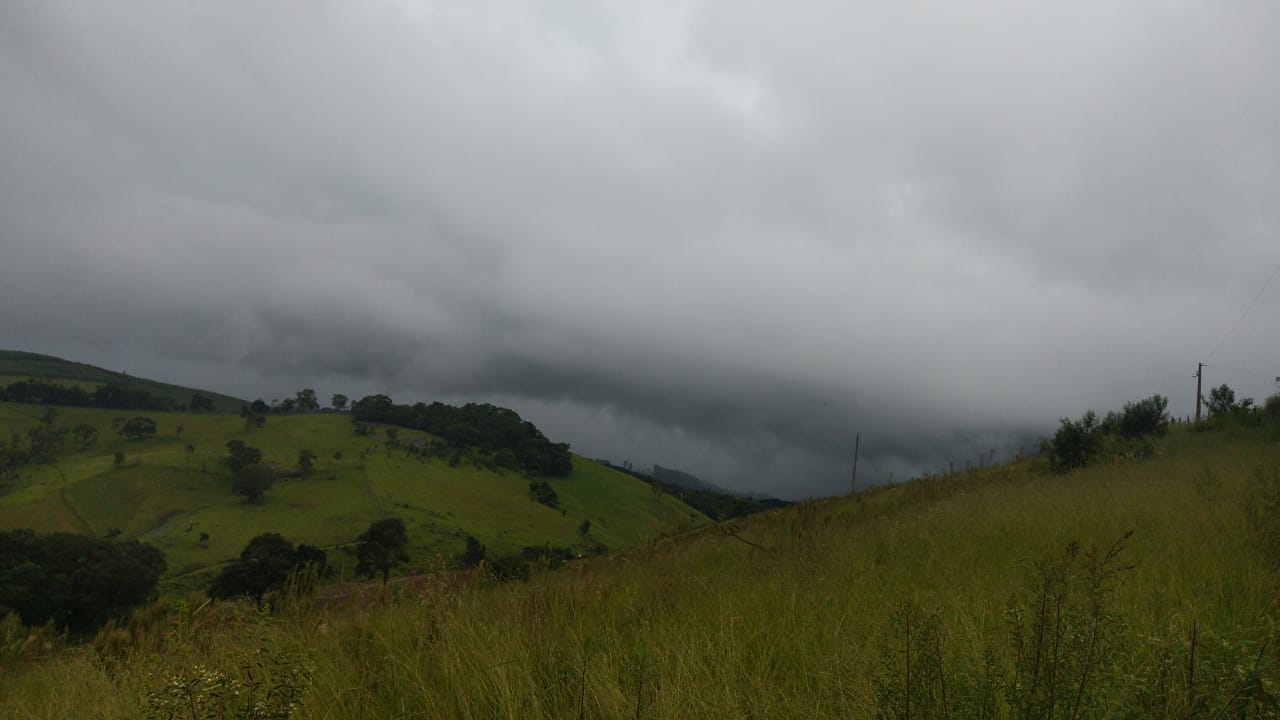 Fazenda riquíssima em água, terreno para plantio ou pecuária | Toledo MG | código 800