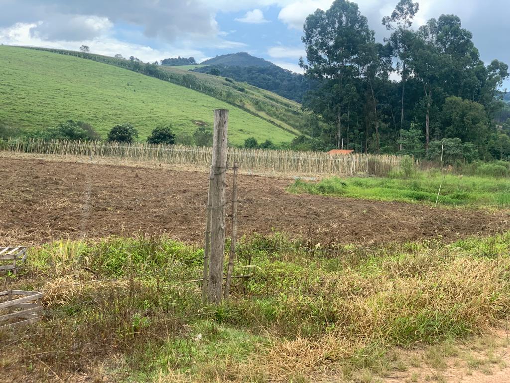 Lindo terreno com boa topografia próximo ao asfalto | Toledo - MG | código 811