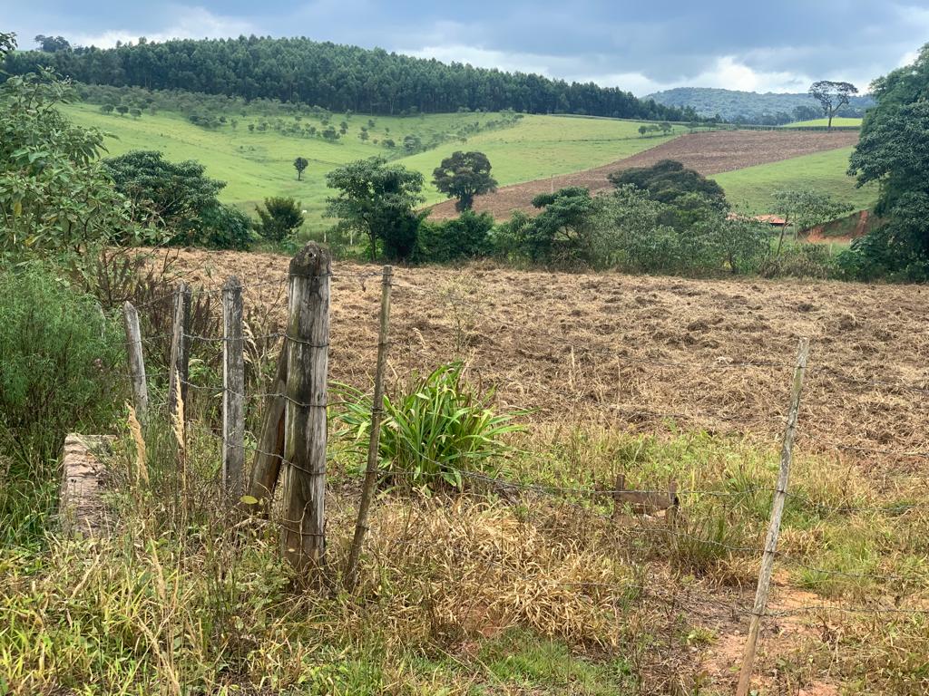 Lindo terreno com boa topografia próximo ao asfalto | Toledo - MG | código 811