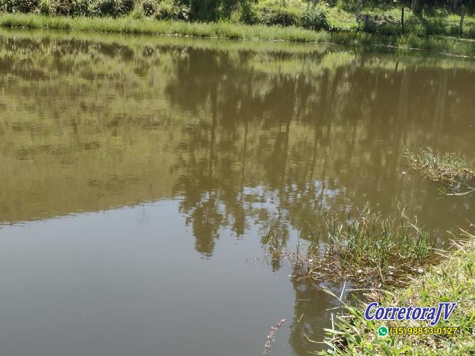 Linda Fazenda com casas. mais uma pousada para renda | Itapeva - MG  | código 957