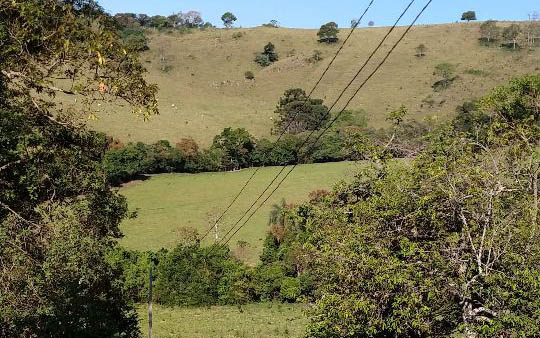 Chácara com piscina, pomar, horta,  casa com 2 dormitórios |  Munhoz - MG | código 939