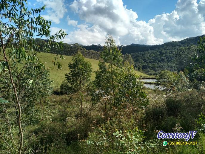 Fazenda de alto padrão com 8 lagos, piscina, campo de futebol | Joanópolis - SP | código 847