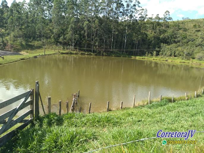 Fazenda de alto padrão com 8 lagos, piscina, campo de futebol | Joanópolis - SP | código 847