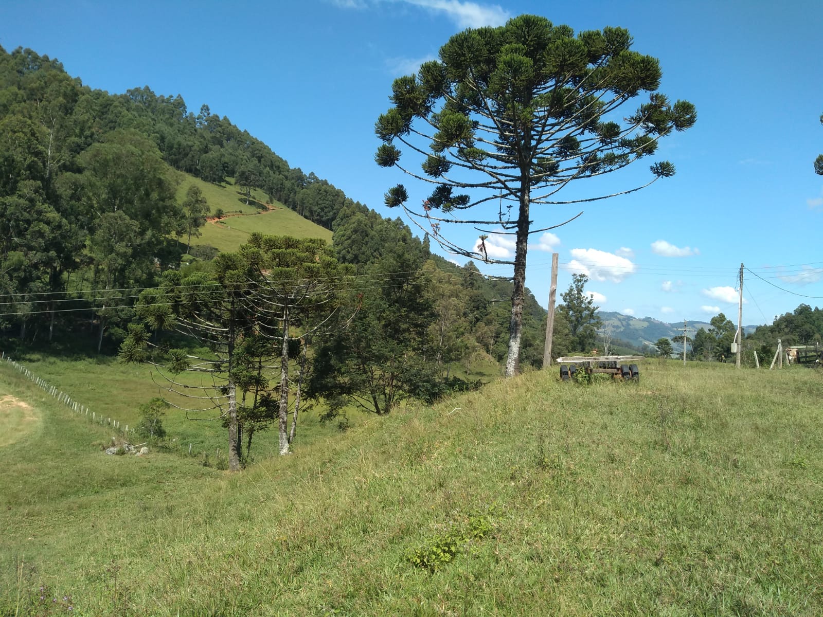 Fazenda com casa simples, lago de lazer, divisa com Extrema | Joanópolis - SP | código 848