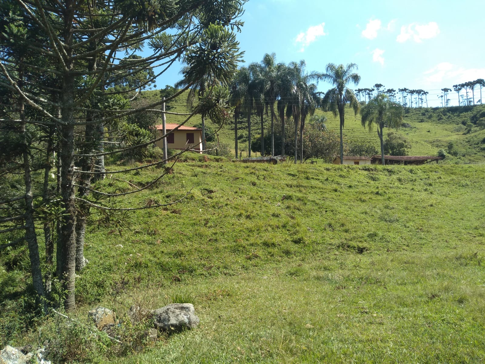 Fazenda com casa simples, lago de lazer, divisa com Extrema | Joanópolis - SP | código 848
