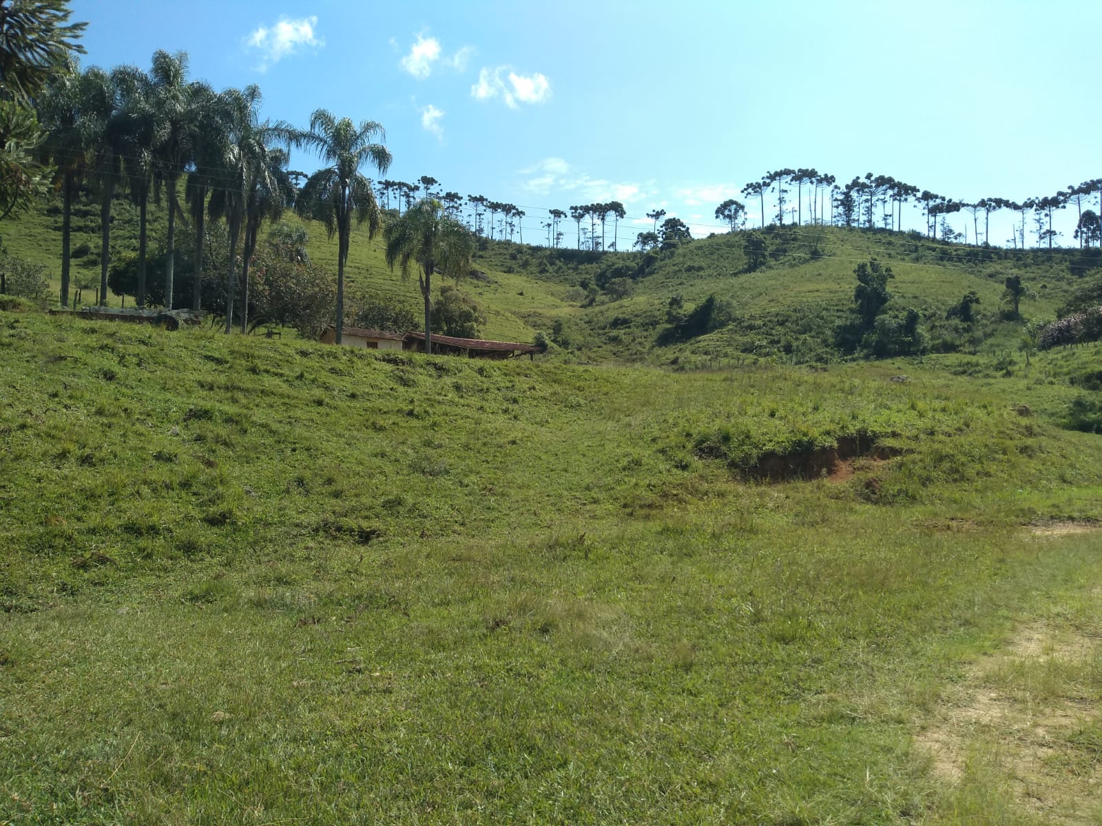 Fazenda com casa simples, lago de lazer, divisa com Extrema | Joanópolis - SP | código 848