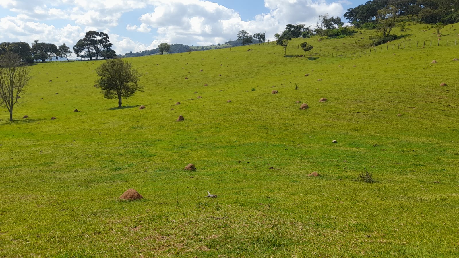 Sitio com lago, para plantio ou pecuária, topografia quase plana | Itapeva - MG | código 852