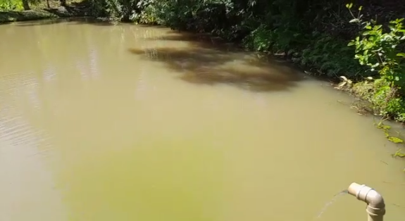 Terreno com lago, pequena cachoeirinha, a 8km de Extrema | código 863