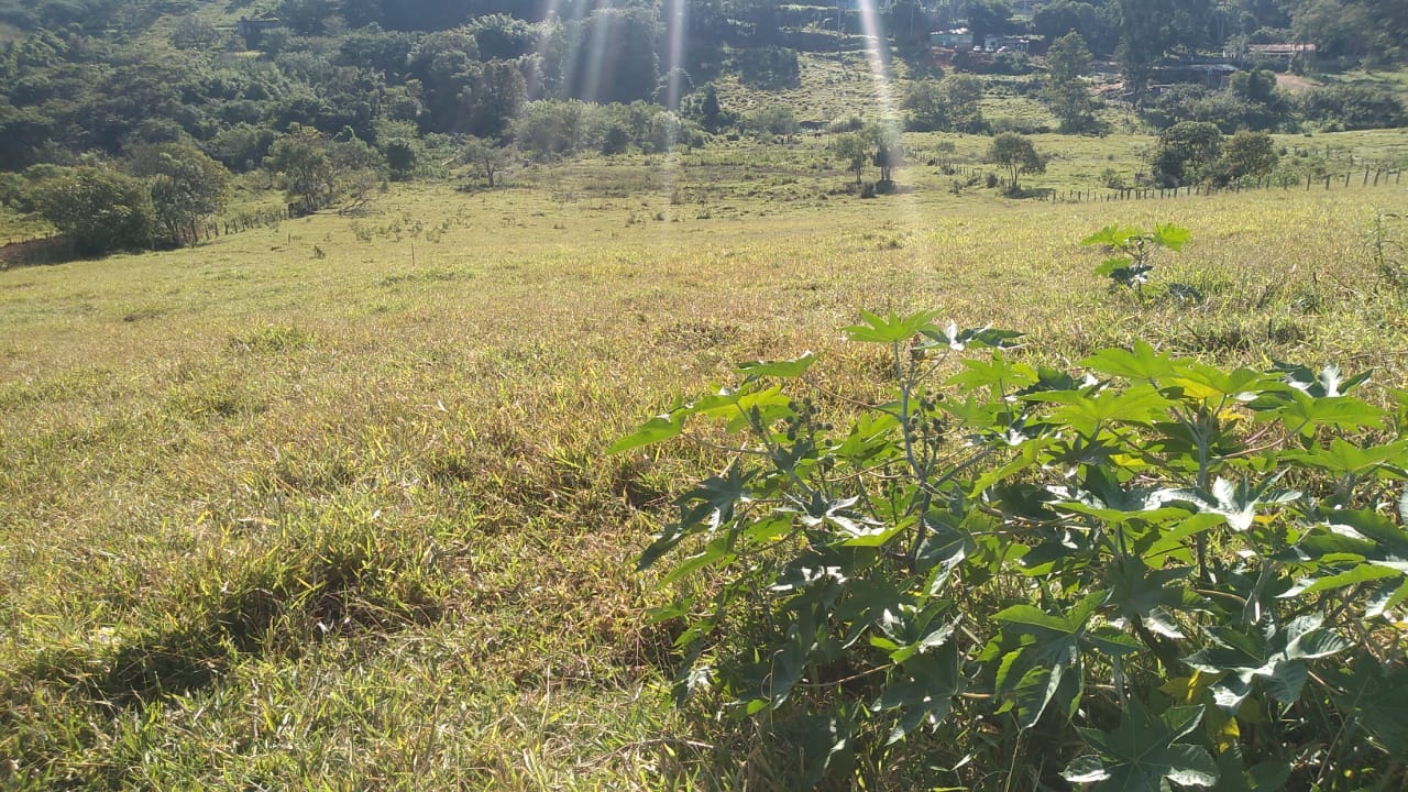 Terreno para empreendimento imobiliário em Joanópolis | código 865
