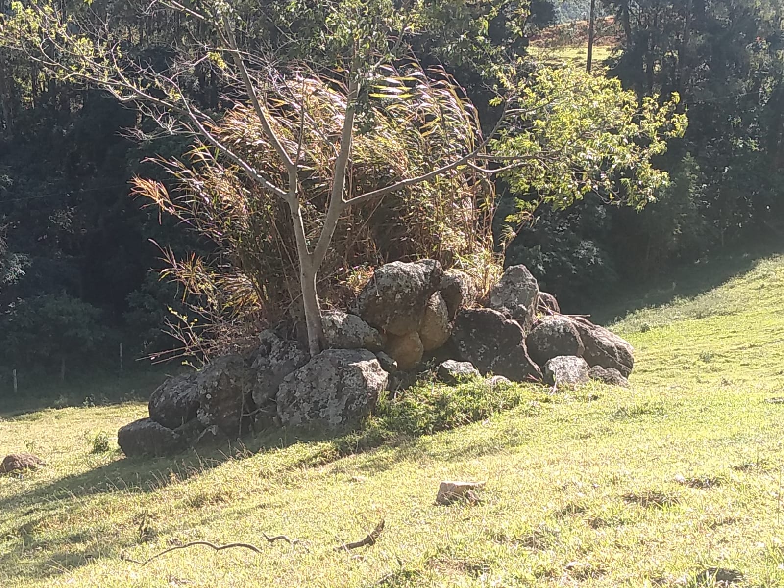 Fazendinha com Casa grande, 3 lagos, formada em pastagens | Joanópolis - SP | código 872