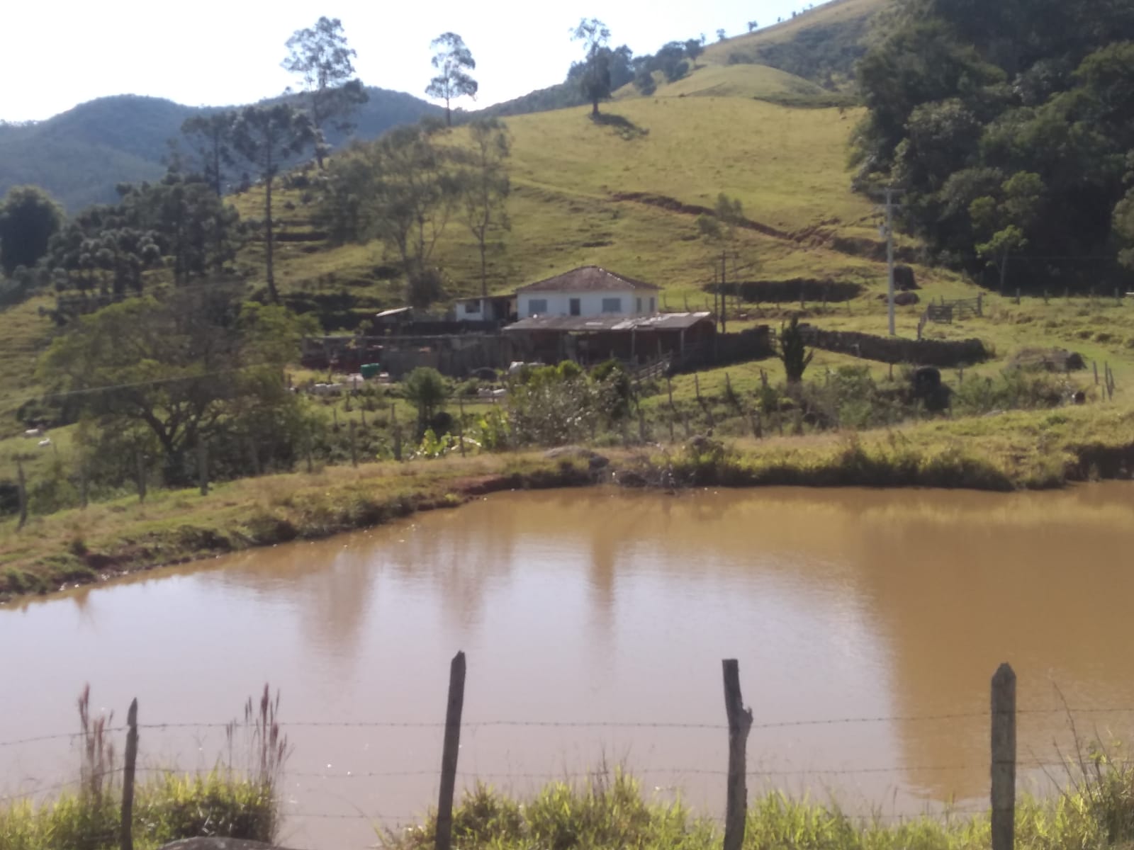 Fazendinha com Casa grande, 3 lagos, formada em pastagens | Joanópolis - SP | código 872