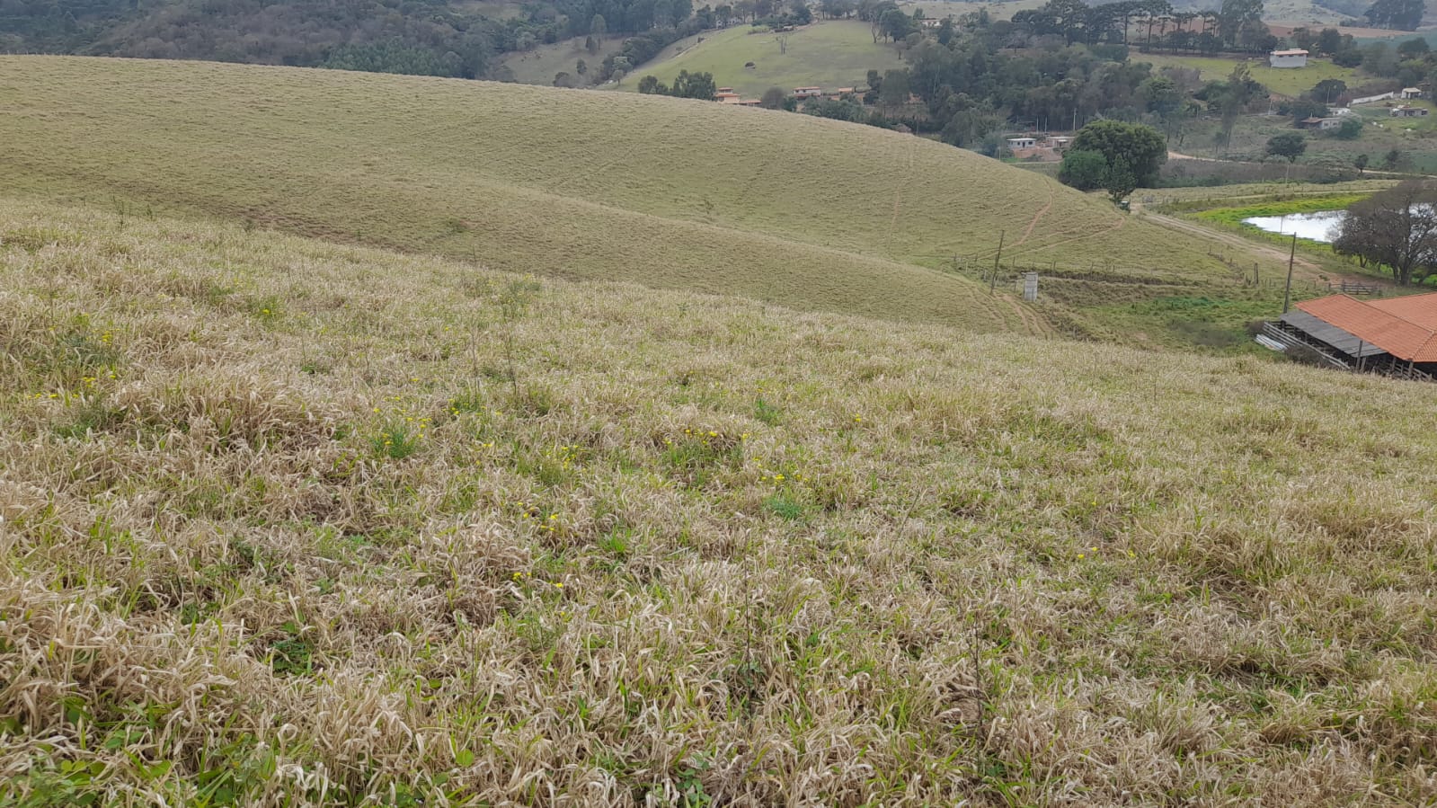 Sitio com represa grande, pouco aclive, curral, Em Toledo MG | código 896