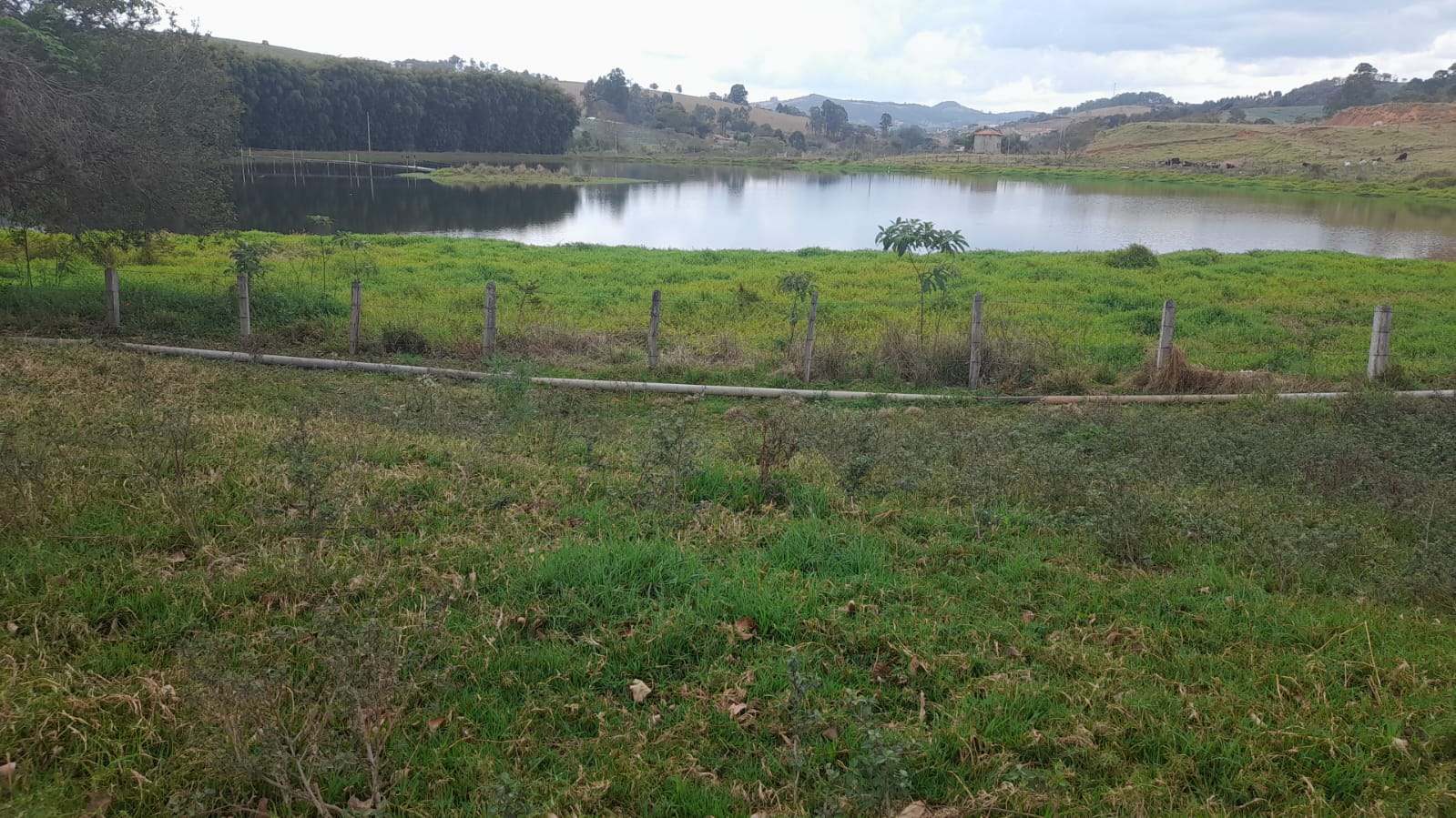 Sitio com represa grande, pouco aclive, curral, Em Toledo MG | código 896