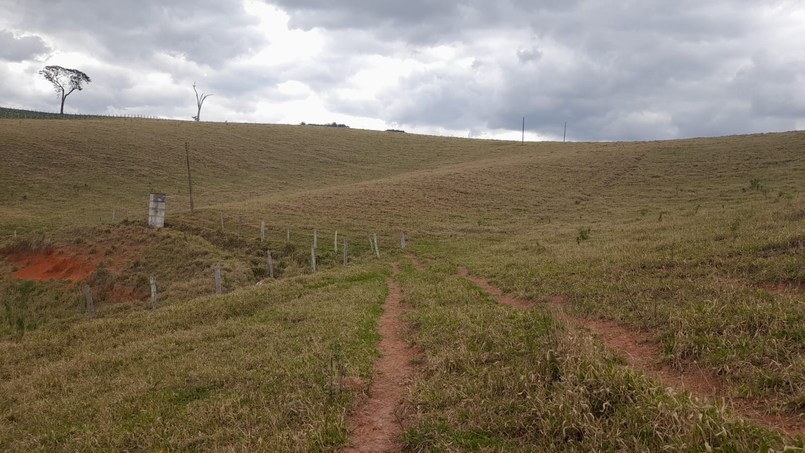 Sitio com represa grande, pouco aclive, curral, Em Toledo MG | código 896