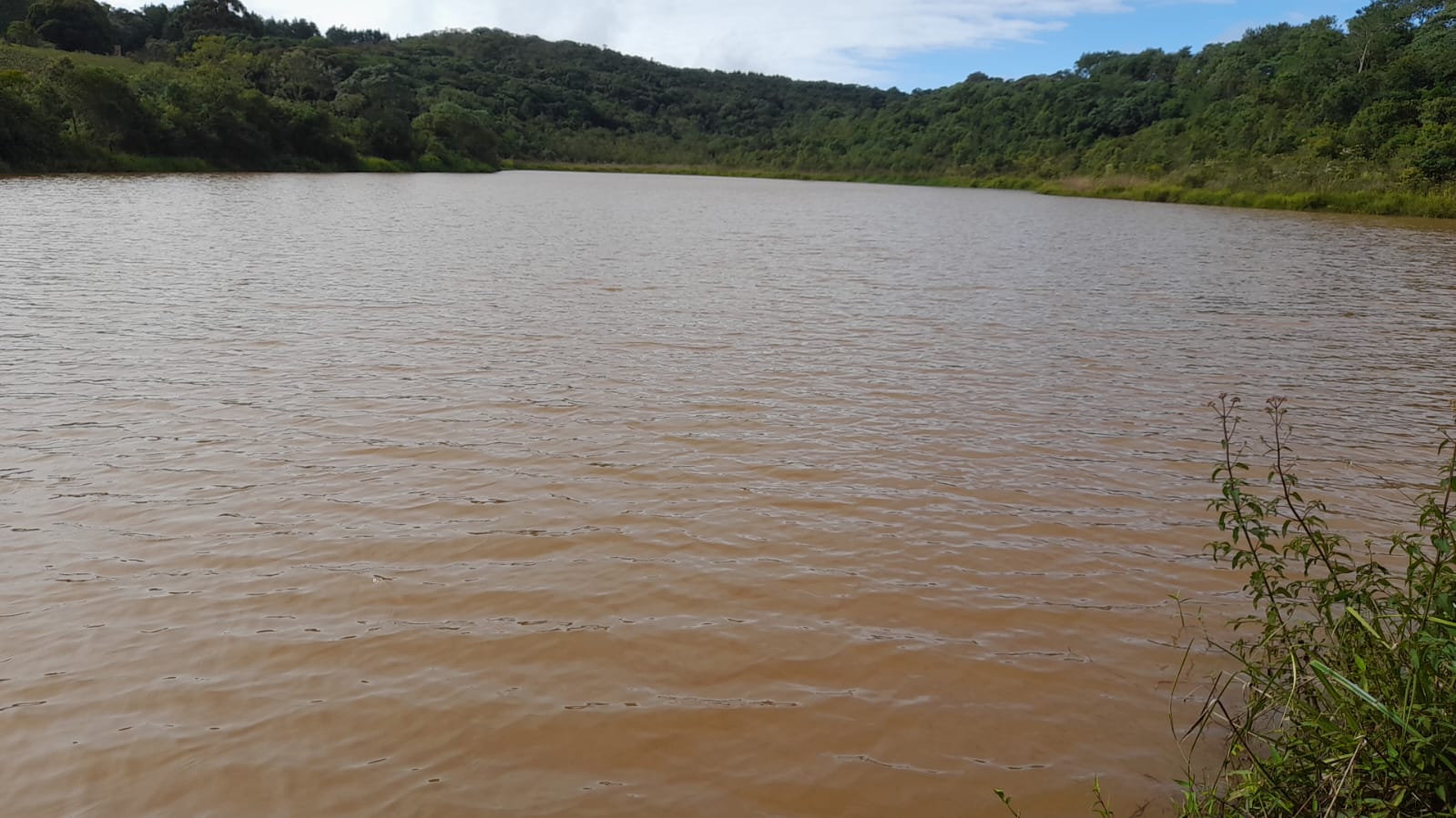Linda fazenda com água ,luz topografia boa, vista panorâmica | Camanducaia - MG | código 899