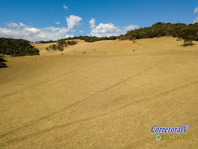 Linda fazenda com água ,luz topografia boa, vista panorâmica | Camanducaia - MG | código 899