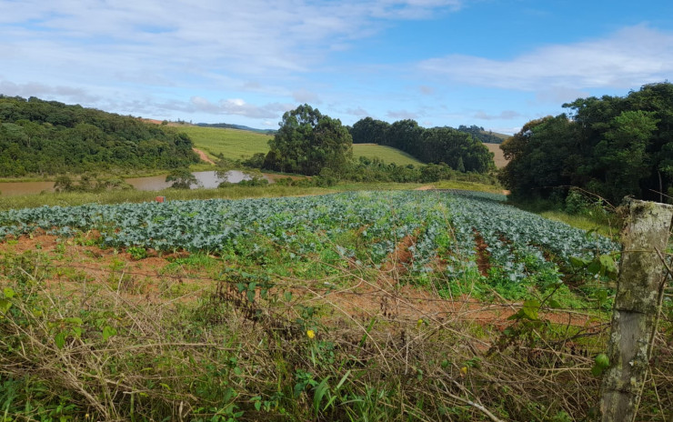 Fazenda com clima de altitude, com casa, represa grande | Itapeva - MG | código 900