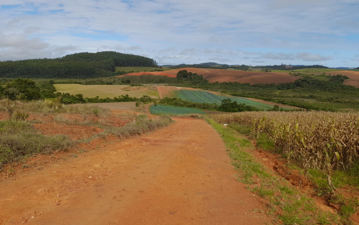 Fazenda com clima de altitude, com casa, represa grande | Itapeva - MG | código 900