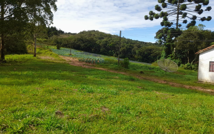 Fazenda com clima de altitude, com casa, represa grande | Itapeva - MG | código 900