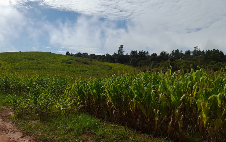 Fazenda com clima de altitude, com casa, represa grande | Itapeva - MG | código 900