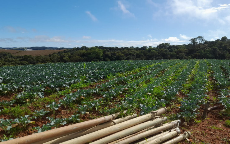 Fazenda com clima de altitude, com casa, represa grande | Itapeva - MG | código 900