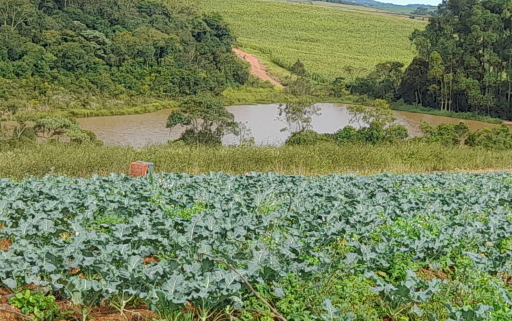 Fazenda com clima de altitude, com casa, represa grande | Itapeva - MG | código 900