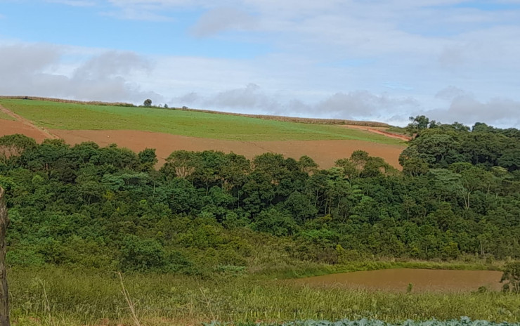 Fazenda com clima de altitude, com casa, represa grande | Itapeva - MG | código 900