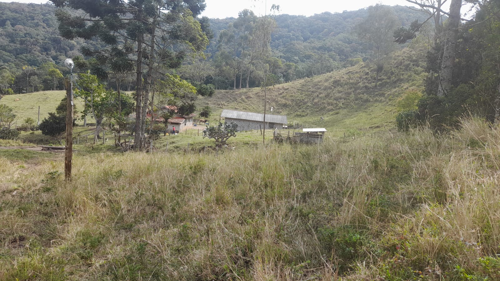 Sítio em Extrema linda vista ..área de altitude  Área de 4 Alq. | Extrema - MG | código 908