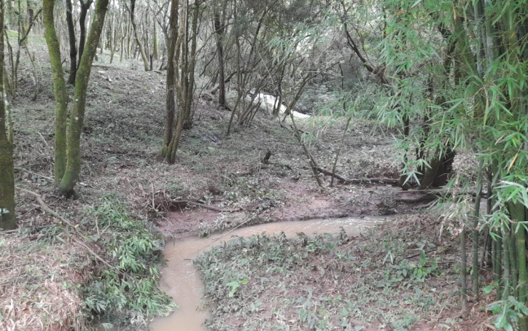 Ótimo terreno local tranquilo, para formar uma chácara. | Camanducaia - MG  | código 956