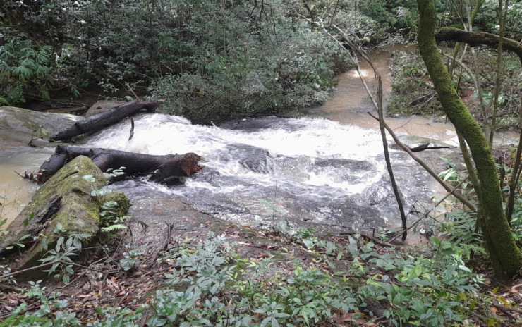 Ótimo terreno local tranquilo, para formar uma chácara. | Camanducaia - MG  | código 956