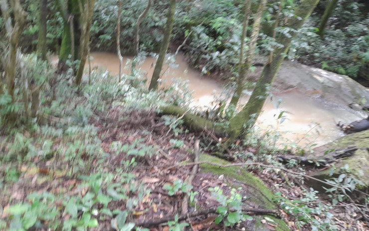 Ótimo terreno local tranquilo, para formar uma chácara. | Camanducaia - MG  | código 956