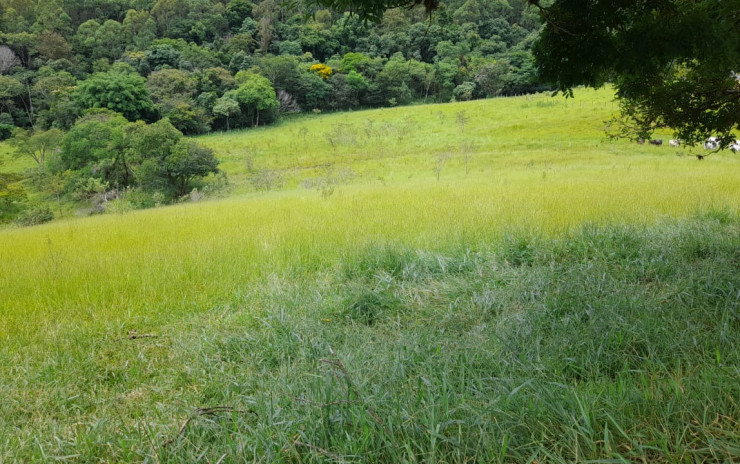 Terreno para sítio  excelente bairro rural localização a 11 km da cidade | Extrema - MG