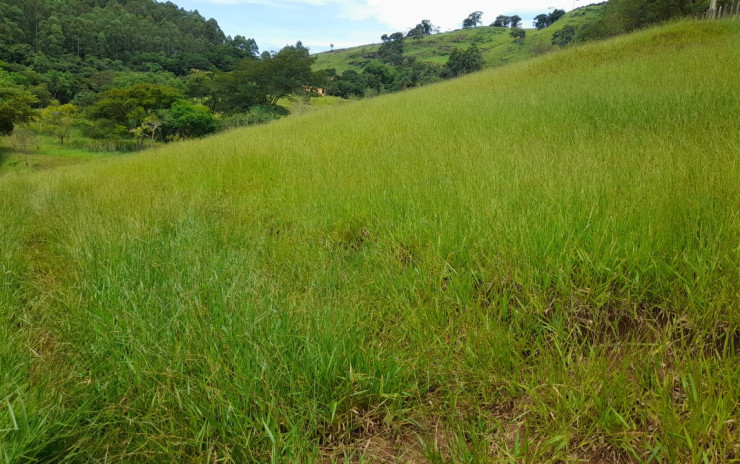 Terreno para sítio  excelente bairro rural localização a 11 km da cidade | Extrema - MG