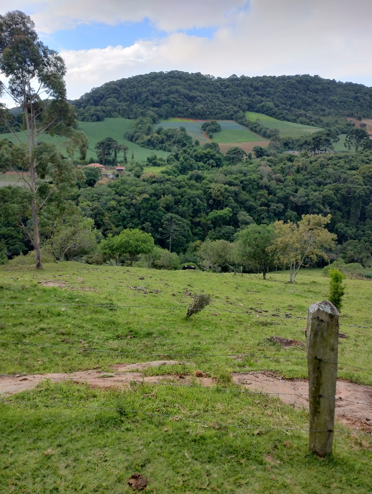 Sítio Casa sede 2 quartos grandes + 3 chalés + lago + córrego | Munhoz - MG  | código 972