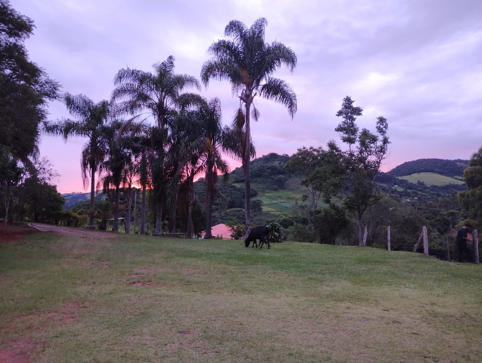 Sítio Casa sede 2 quartos grandes + 3 chalés + lago + córrego | Munhoz - MG  | código 972