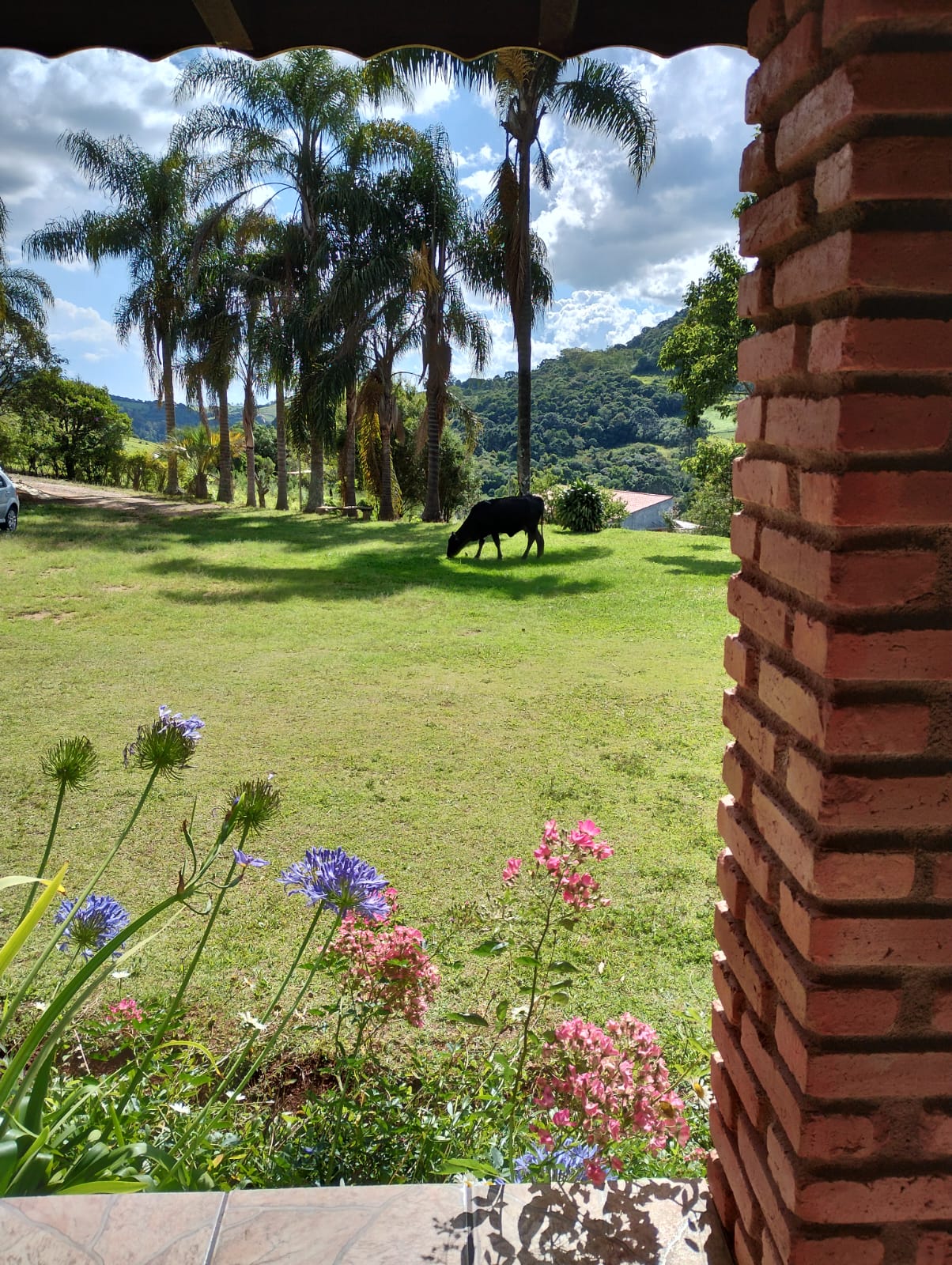 Sítio Casa sede 2 quartos grandes + 3 chalés + lago + córrego | Munhoz - MG  | código 972