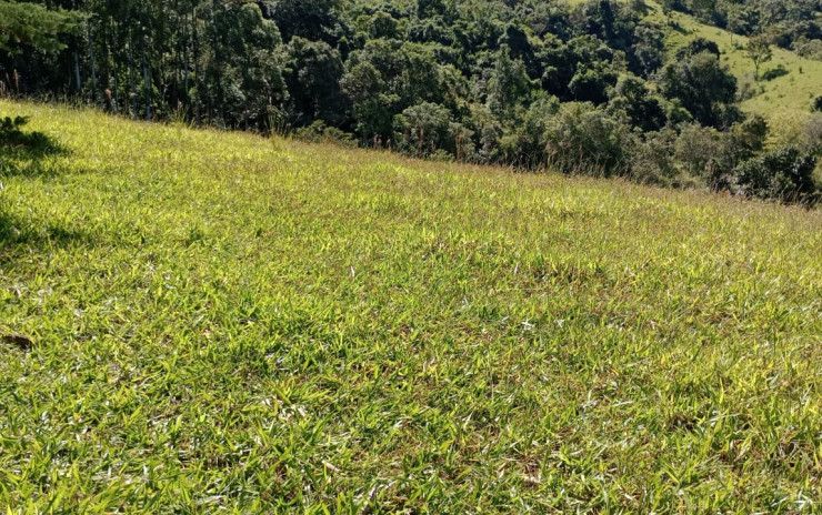 Lindo Terreno com nascente  para chácara. 6.000 mts | Extrema - MG  | código 994