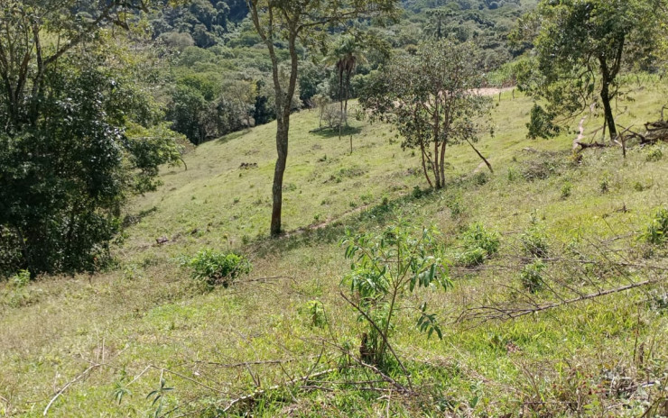 Fazenda com 53 Alqueires, excelente para agropecuaria | Extrema - MG  | código 995