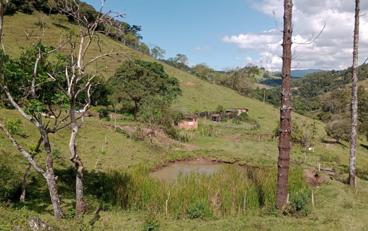 Fazenda com 53 Alqueires, excelente para agropecuaria | Extrema - MG  | código 995