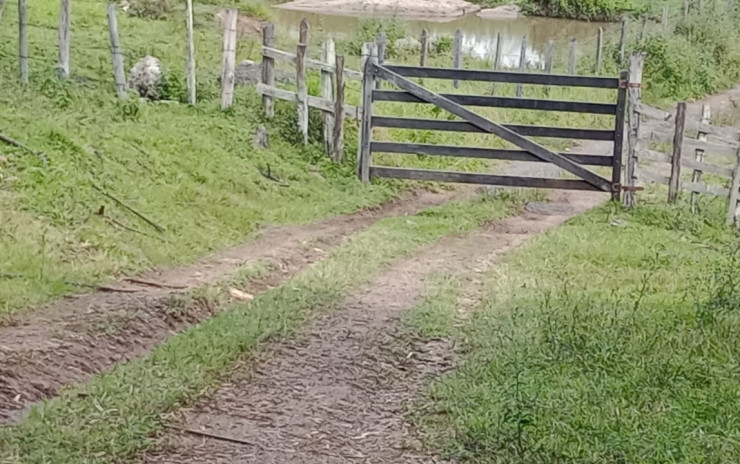 Fazenda com 53 Alqueires, excelente para agropecuaria | Extrema - MG  | código 995