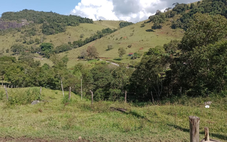 Fazenda com 53 Alqueires, excelente para agropecuaria | Extrema - MG  | código 995