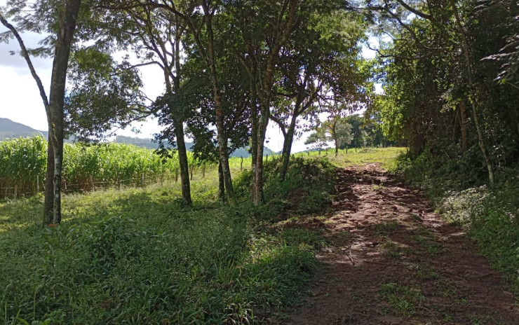 Fazenda com 53 Alqueires, excelente para agropecuaria | Extrema - MG  | código 995