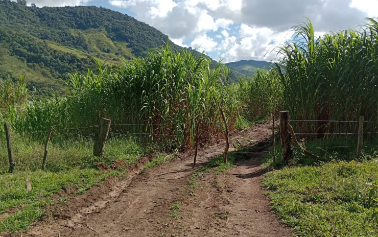 Fazenda com 53 Alqueires, excelente para agropecuaria | Extrema - MG  | código 995