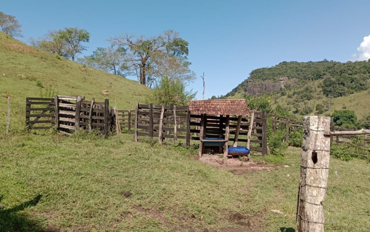 Fazenda com 53 Alqueires, excelente para agropecuaria | Extrema - MG  | código 995