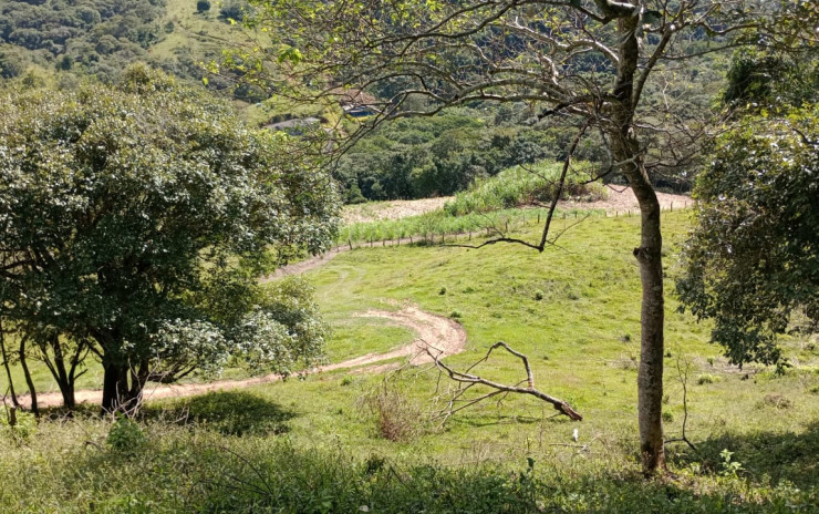 Fazenda com 53 Alqueires, excelente para agropecuaria | Extrema - MG  | código 995