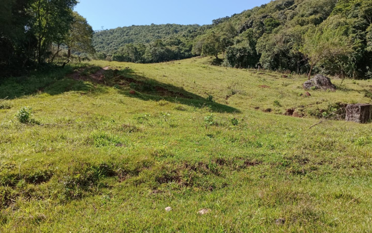 Fazenda com 53 Alqueires, excelente para agropecuaria | Extrema - MG  | código 995