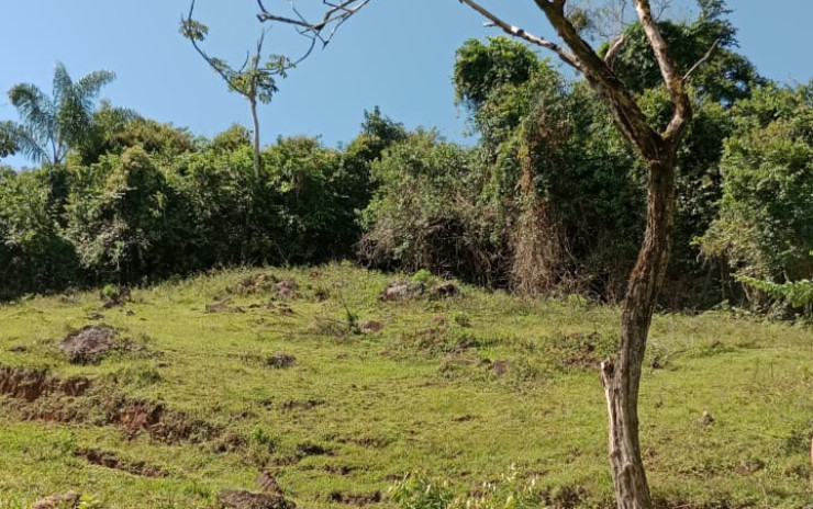 Fazenda com 53 Alqueires, excelente para agropecuaria | Extrema - MG  | código 995