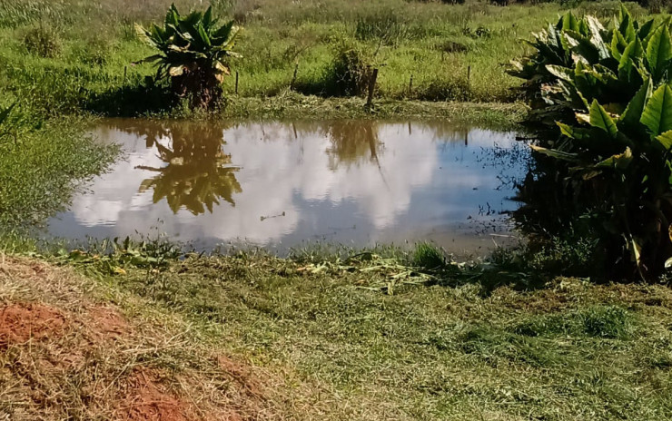 Chácara com lago, casa com 4 quartos, pomar. 1 km da cidade  | Toledo - MG  | código 996